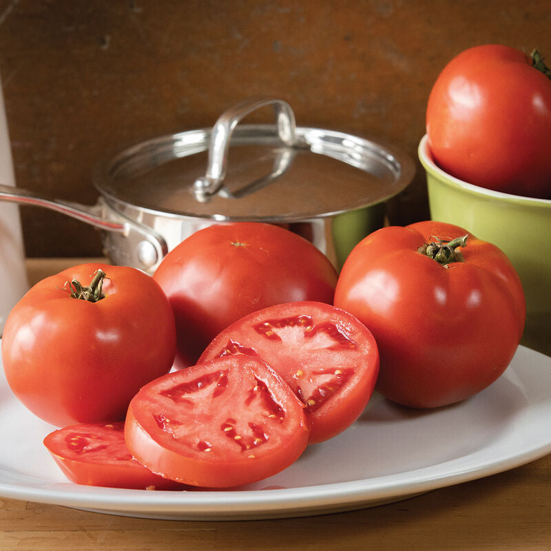 Beefsteak Tomato Plant